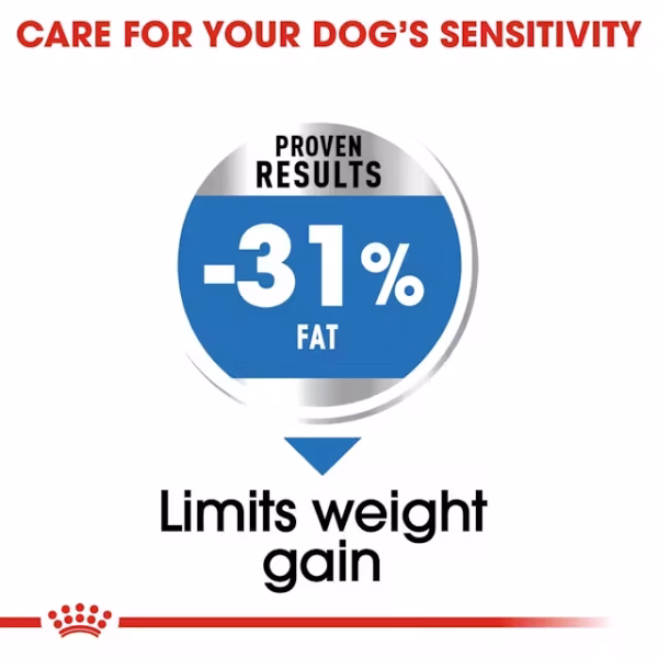 Royal Canin Mini Light Weight Care Dry Food