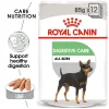 Royal Canin Digestive Care Loaf Pouch Wet Food