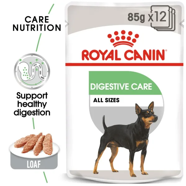 Royal Canin Digestive Care Loaf Pouch Wet Food