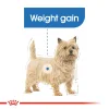 Royal Canin Light Weight Care Loaf Pouch Wet Food