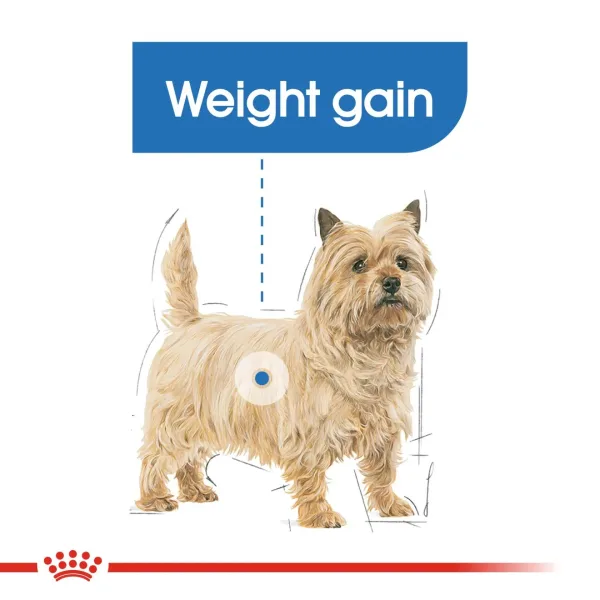 Royal Canin Light Weight Care Loaf Pouch Wet Food