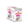 Royal Canin Exigent Care Loaf Pouch Wet Food
