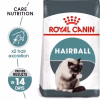 FCN HAIRBALL CARE2 Royal Canin Hairball Care Dry Food