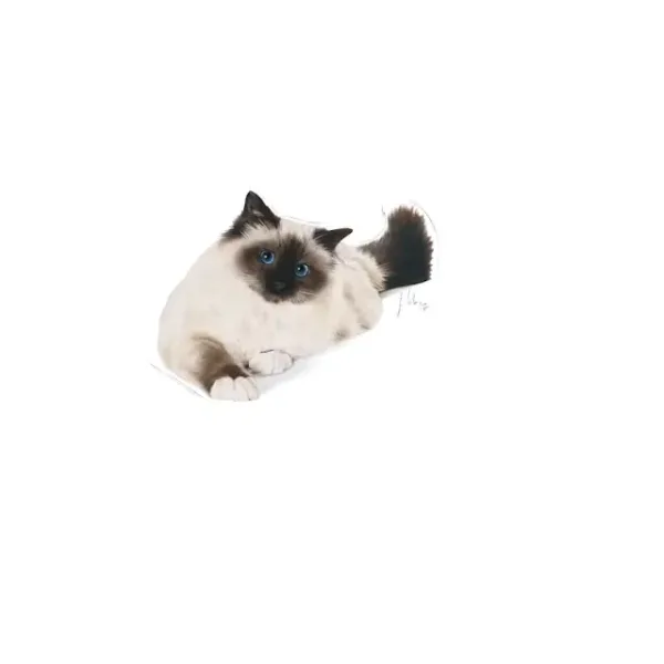 FCN HAIRBALL CARE4 Royal Canin Hairball Care Dry Food