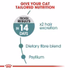 FCN HAIRBALL CARE5 Royal Canin Hairball Care Dry Food