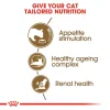 Royal Canin Ageing 12+ Dry Food