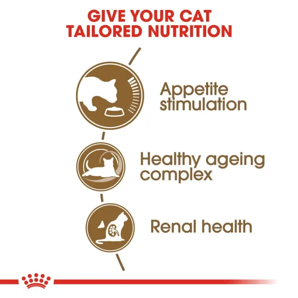 Royal Canin Ageing 12+ Dry Food
