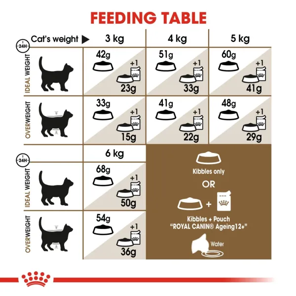Royal Canin Ageing 12+ Dry Food