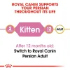 Royal Canin Persian Kitten Dry Food