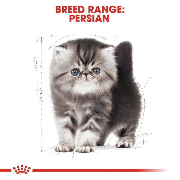 Royal Canin Persian Kitten Dry Food