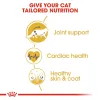 RC-FBN-MaineCoon-CV-Eretailkit-3_Med._Res.___Basic_200072 Royal Canin Maine Coon Adult Dry Food