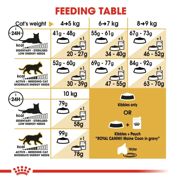 RC-FBN-MaineCoon-CV-Eretailkit-5_Med._Res.___Basic_200073 Royal Canin Maine Coon Adult Dry Food