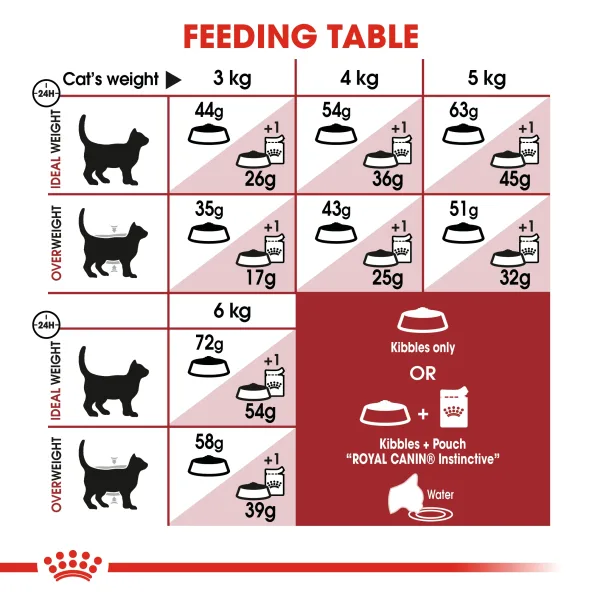 Royal Canin Fit 32 Dry Food