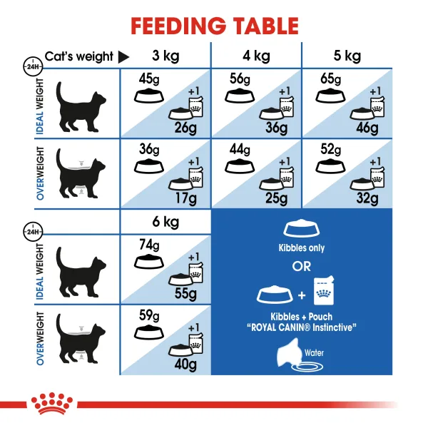 Royal Canin Indoor 27 Dry Food