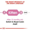 Royal Canin Kitten Dry Food