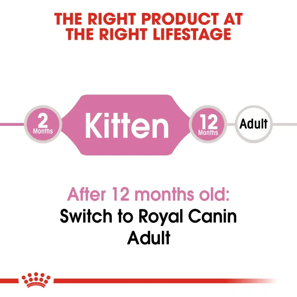 Royal Canin Kitten Dry Food