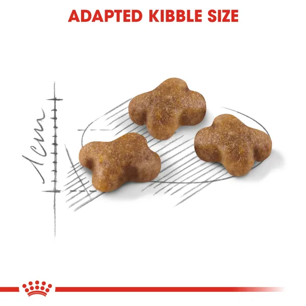 Royal Canin Kitten Dry Food