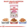 Royal Canin Kitten Dry Food