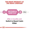 Royal Canin Mother & Babycat Dry Food