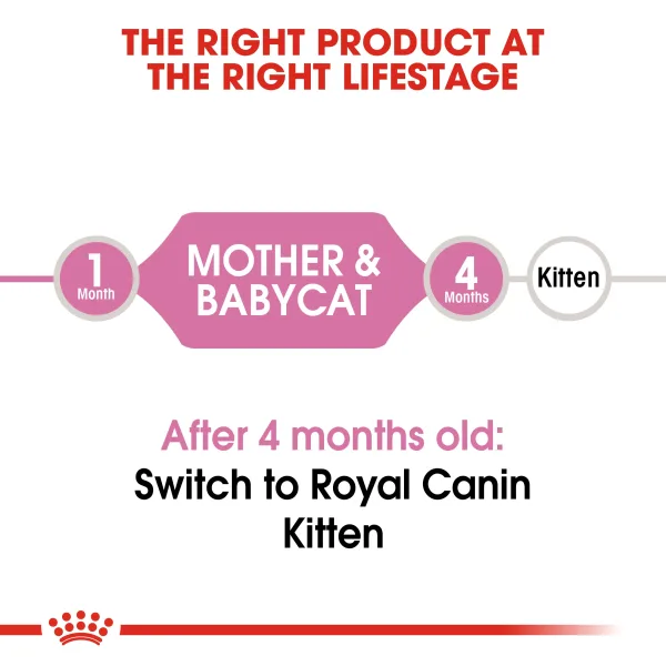 Royal Canin Mother & Babycat Dry Food