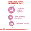 Royal Canin Mother & Babycat Dry Food