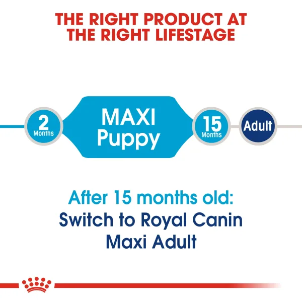 Royal Canin Maxi Junior Puppy Dry Food