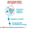 Royal Canin Maxi Junior Puppy Dry Food