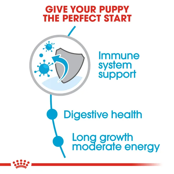 Royal Canin Maxi Junior Puppy Dry Food