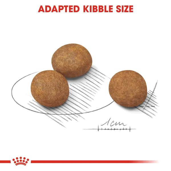 Royal Canin Maxi Junior Puppy Dry Food