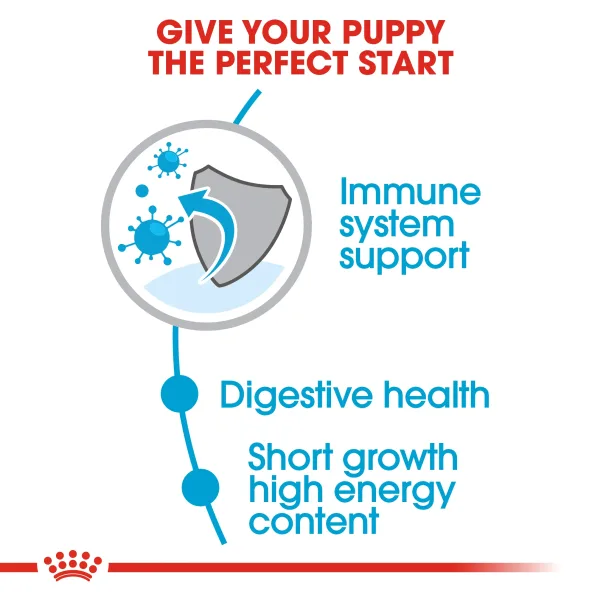 Royal Canin Medium Junior Puppy Dry Food