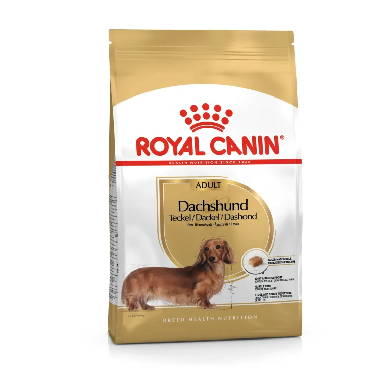 Royal Canin Dachshund Adult Dry Dog Food bag showing breed-specific formula for Dachshunds over 10 months old designed to support joints, muscle tone, and digestive health.