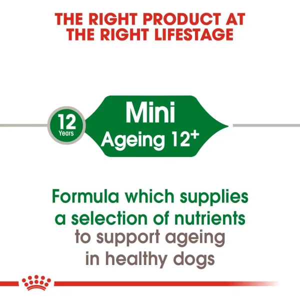 Royal Canin Mini Ageing 12+ Dry Food