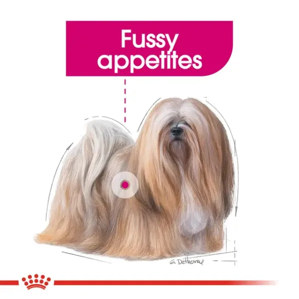 Royal Canin Mini Exigent Dry Food