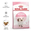 Royal Canin Kitten Dry Food