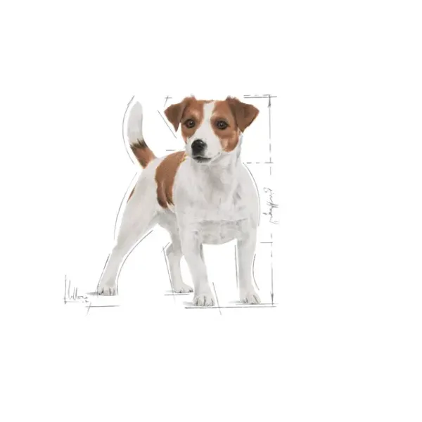 Royal Canin MINI Adult Dry Food