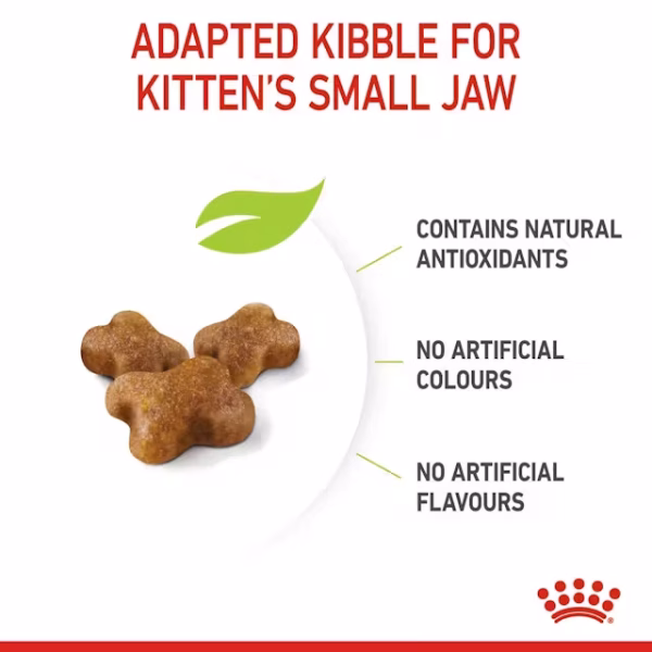 Royal Canin Kitten Dry Food