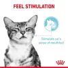 Royal Canin Sensory Feel Wet Food