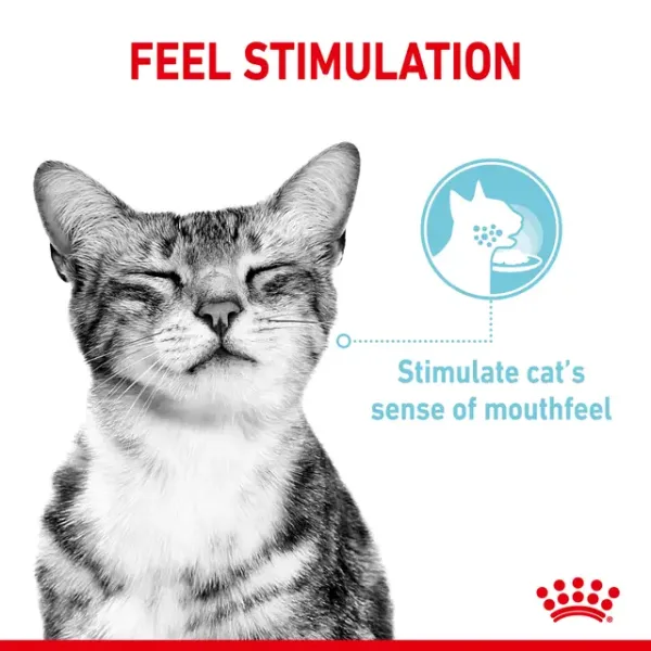 Royal Canin Sensory Feel Wet Food