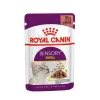 Royal Canin Sensory Smell Wet Food