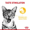 Royal Canin Sensory Taste Wet Food