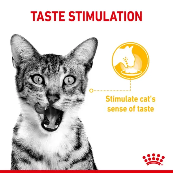 Royal Canin Sensory Taste Wet Food
