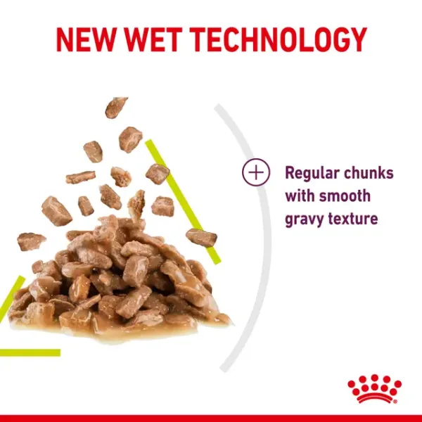 Royal Canin Sensory Smell Wet Food
