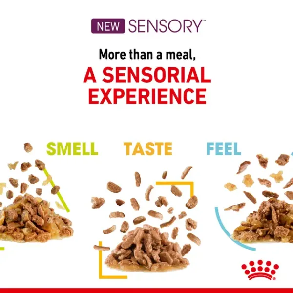 Royal Canin Sensory Feel Wet Food