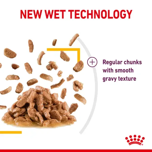Royal Canin Sensory Taste Wet Food