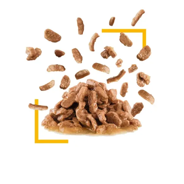 Royal Canin Sensory Taste Wet Food