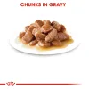 Royal Canin Ageing 12+ Gravy Wet Food