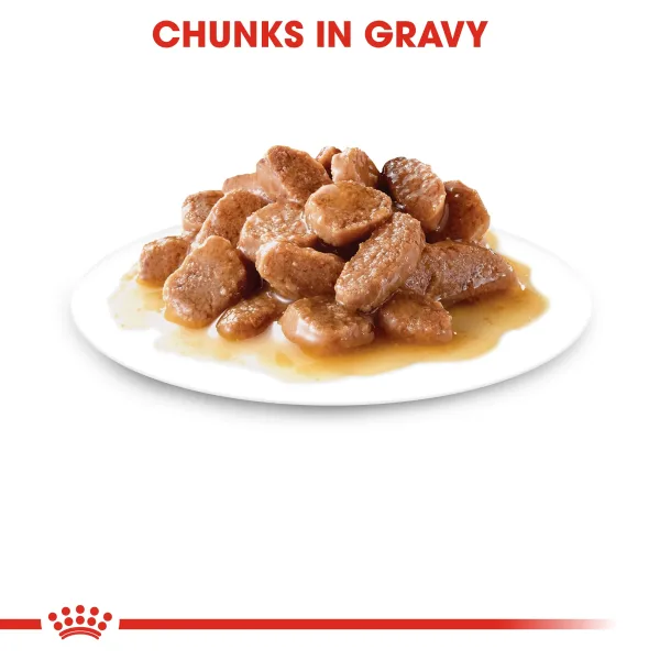 Royal Canin Ageing 12+ Gravy Wet Food