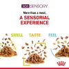 Royal Canin Sensory Taste Wet Food