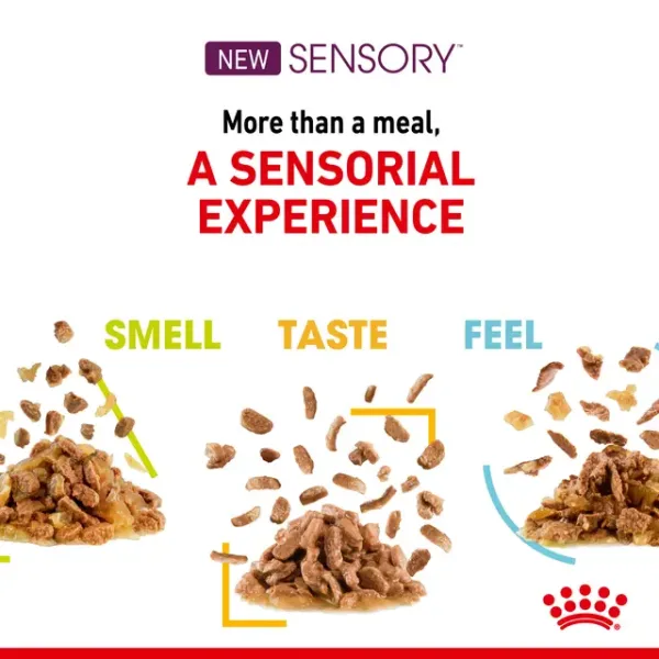 Royal Canin Sensory Taste Wet Food