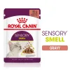 Royal Canin Sensory Smell Wet Food